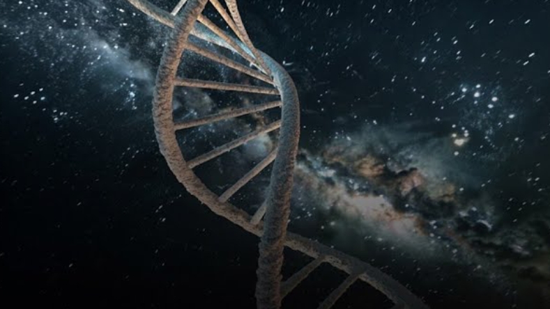 Следят Ли За Человечеством? | Документальный фильм для сна смотреть онлайн