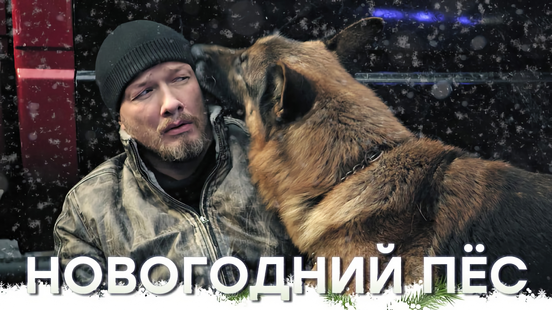 «Новогодний Пёс»  — 31 декабря в 17:20 на НТВ смотреть онлайн