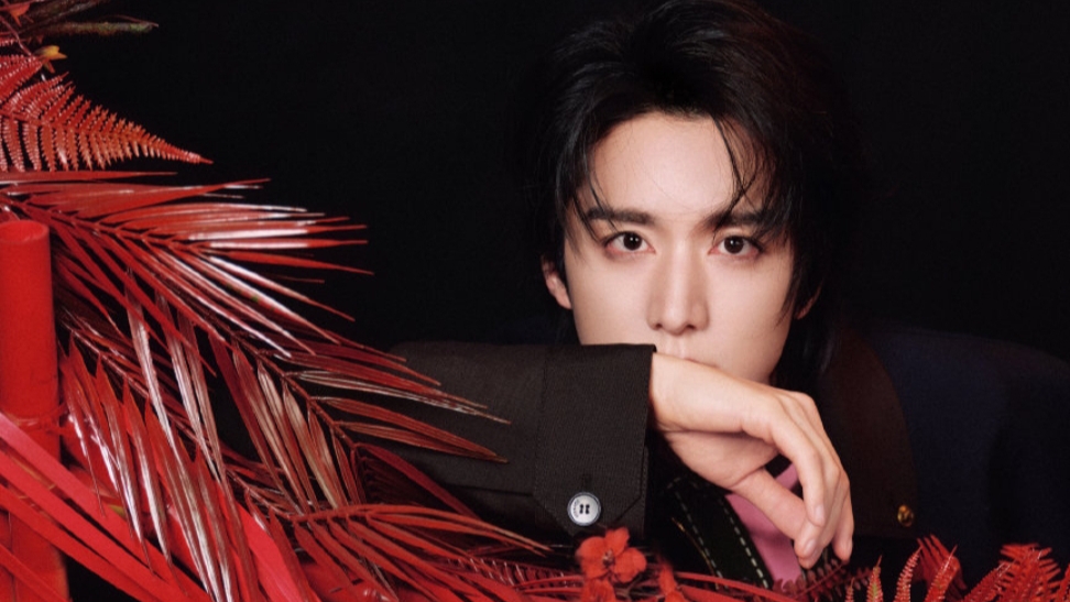 Новый год с Чжаном Синьчэном