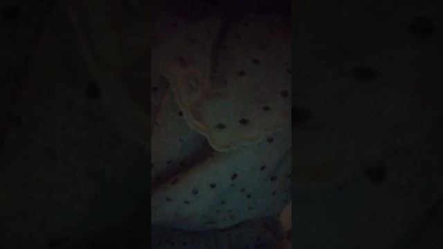 Ура новый год смотреть онлайн