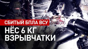 Минобороны РФ показало кадры сбитого БПЛА, которым хотели атаковать резиденцию Путина