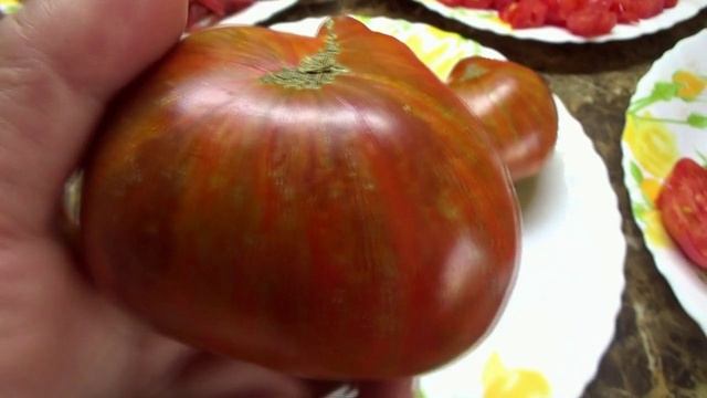 В прошлом году этот томат очень удивил меня! Томатный Гном Черный Волшебник №900-24. Полюбуйтесь! смотреть онлайн