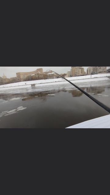 КРУПНАЯ ПЛОТВА НА ДЖИГ смотреть онлайн