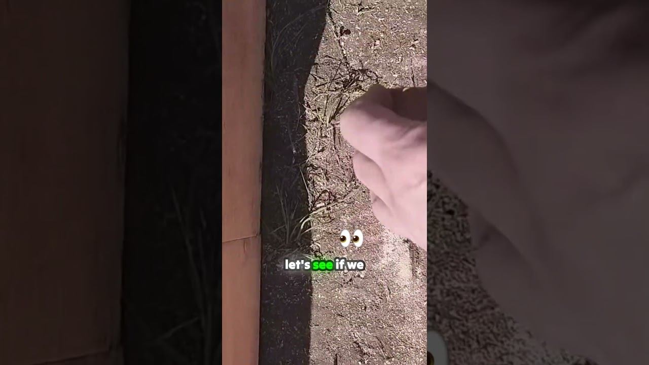 How to Nail Timber Joints Across Piles Like a Pro смотреть онлайн