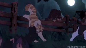 Бич/Клип/Коты воители/