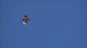 Голуби серпастые. С Наступающим Новым Годом!