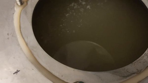 Рис на  дрожжах кодзи ангел без пригара, сбраживание и