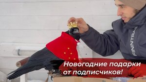 Новогодние подарки Гоше! Распаковка посылок