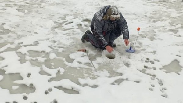 -6858407528868151888