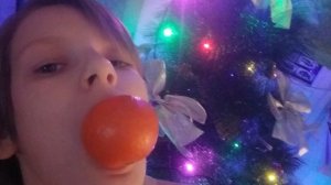 Vitya_17k - NOVAYA_GODA.2026