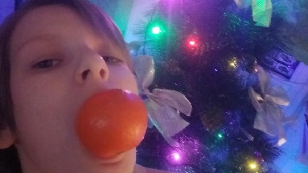 Vitya_17k - NOVAYA_GODA.2026