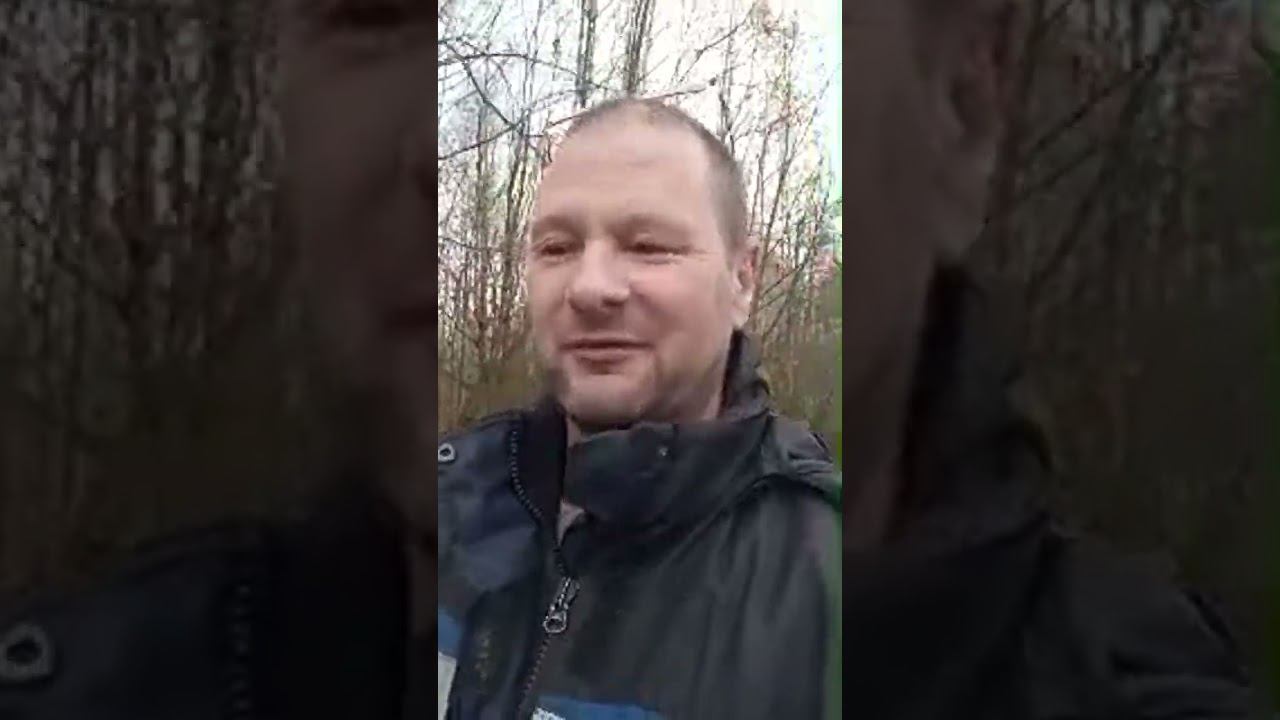 Live highlight смотреть онлайн