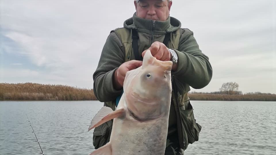 Таких мы в плен не берём!мы их топим,джиг спиннинг на степной речке.20.11.25