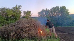 Как сжечь сырые зеленые ветки от дервьев. Май 2024