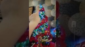Алина зайка