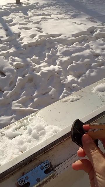 1 Шелли=1 жизнь Вии смотреть онлайн