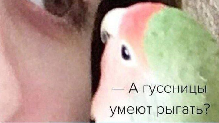 15минут прото хожу по кругу смотреть онлайн