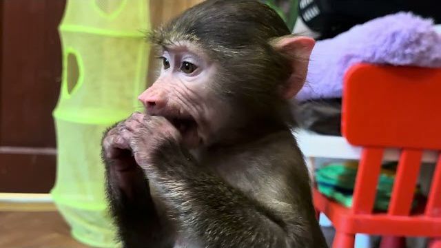 Влад не заходит домой, сидит на улице, а эти два ребятенка уже не знают как к нему достучаться))) смотреть онлайн