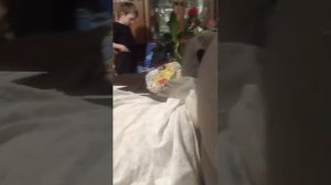 стрим на новый год