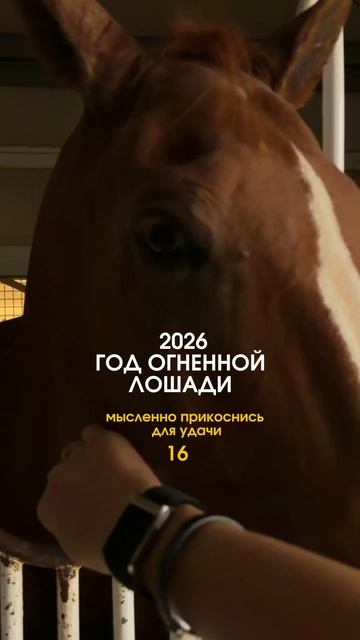 Мысленно Прикоснись и Загадай Желание на 2026 Год смотреть онлайн