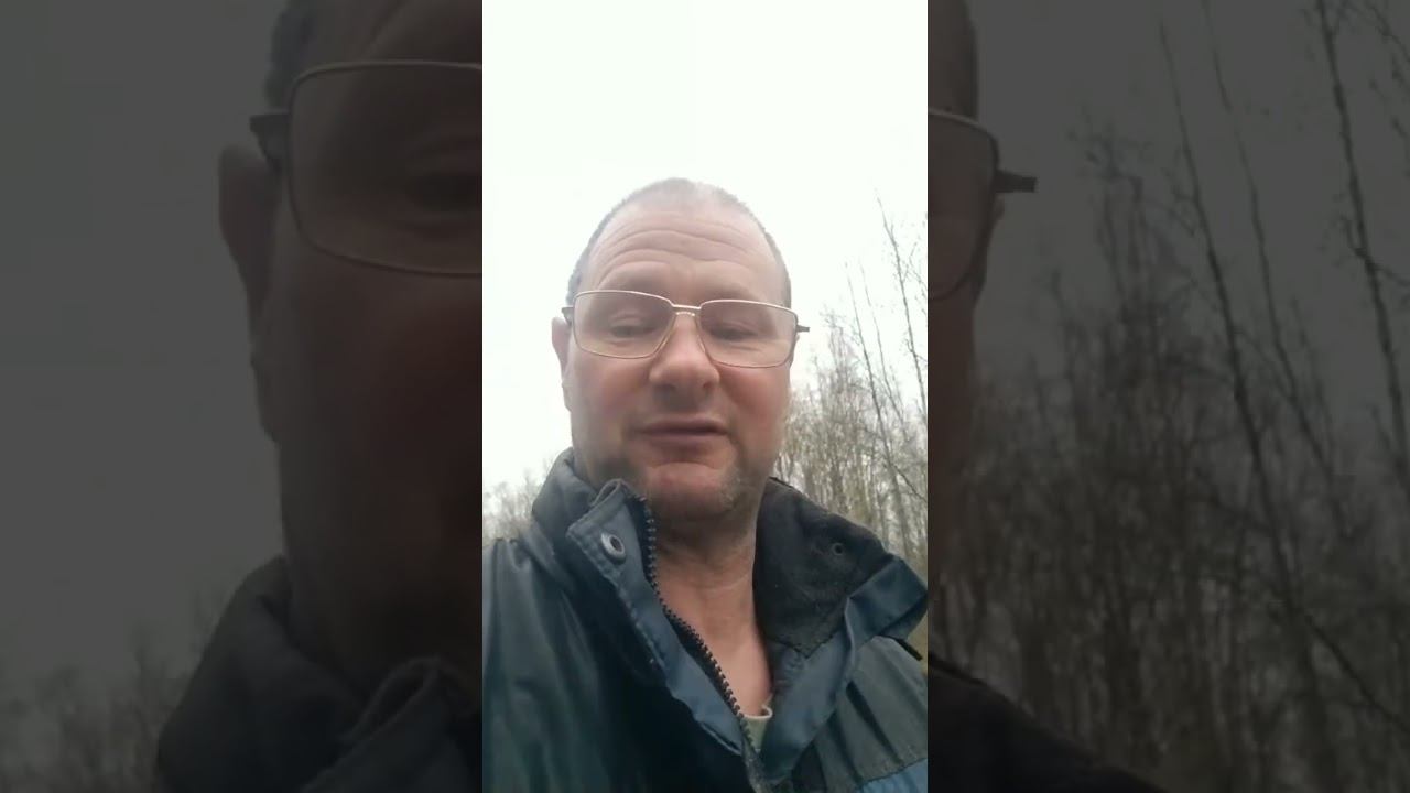Live highlight смотреть онлайн