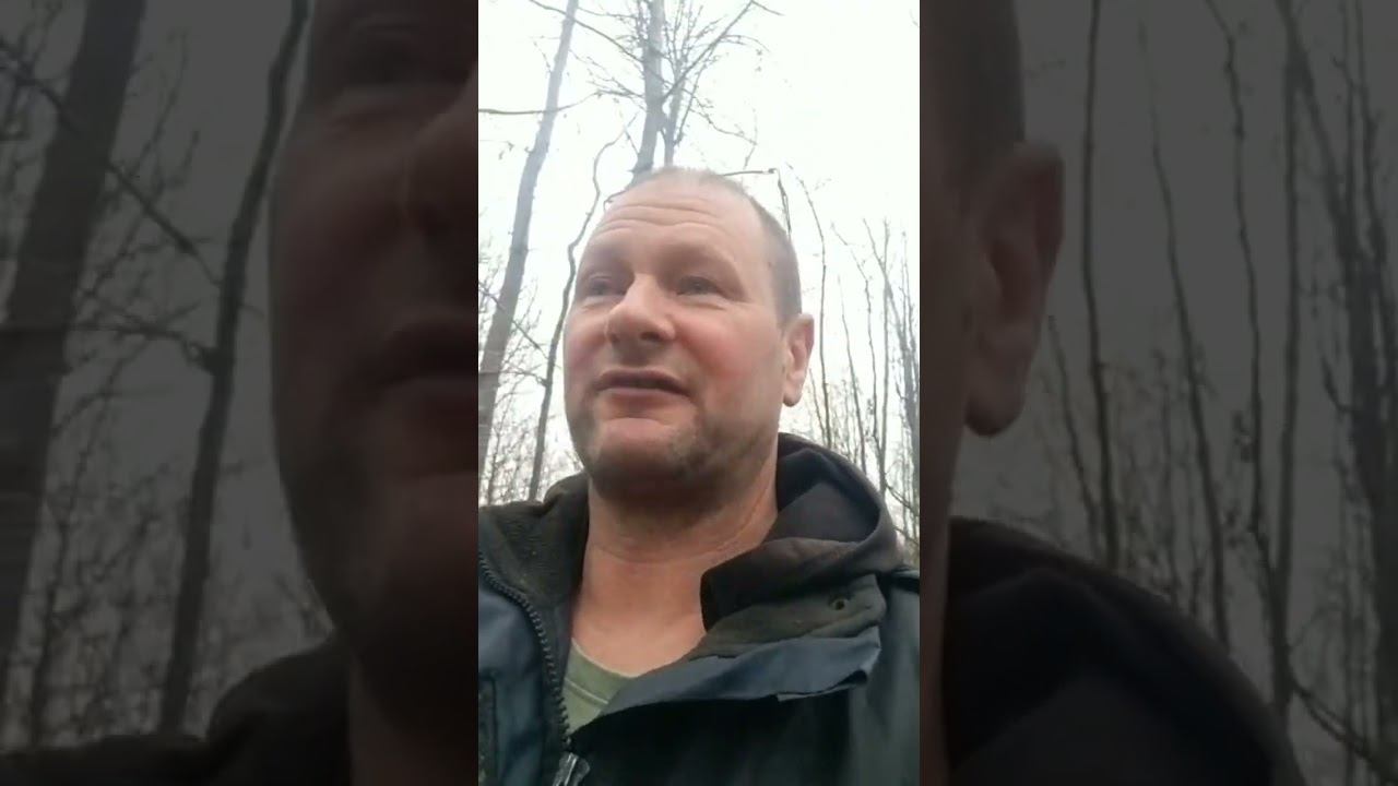 Live highlight смотреть онлайн