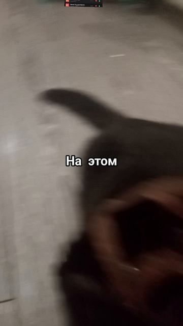 Да да это олень