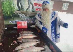 С Новым Годом