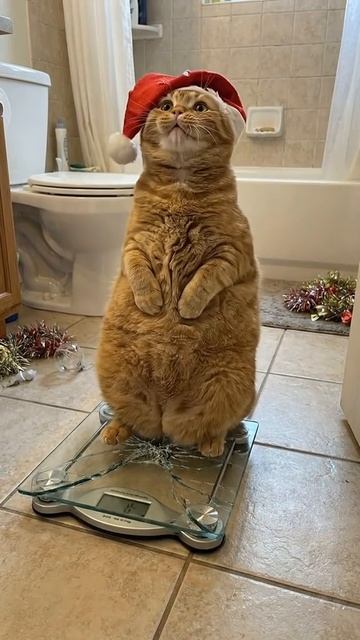 1000456793.mp4 смотреть онлайн