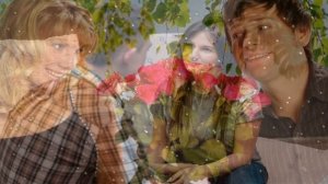 ЛАПУШКА СЛАДКАЯ слова муз испол Николай Ананьев гармонь