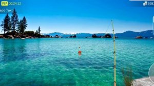 Как поймать шип в игре My Fishing World