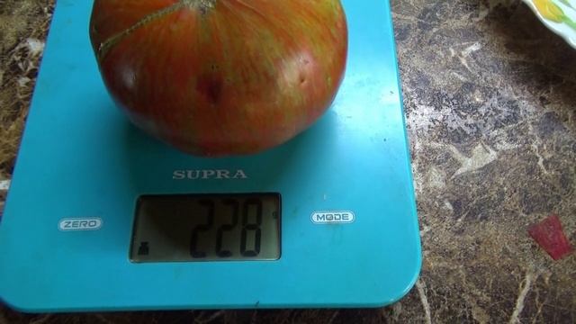 Томатные Гномы - ТЯЖЕЛОВЕСЫ. Гном Черный волшебник - ШОКОЛАДНЫЙ десерт. №900-24. смотреть онлайн