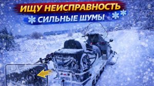 НЕПОНЯТНАЯ ВИБРАЦИЯ И ЧАСТОТНЫЙ ШУМ | Разбор и тест-драйв снегохода СМ-003
