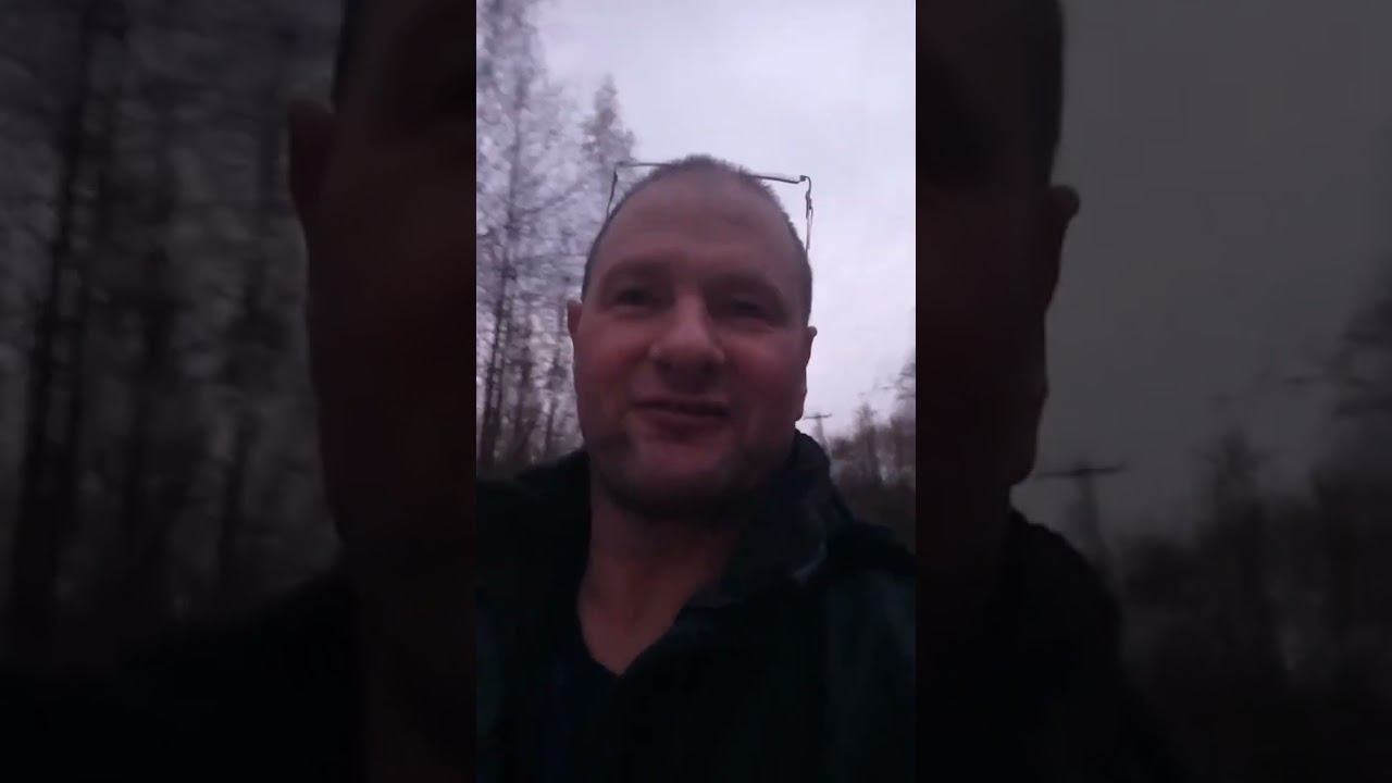 Live highlight смотреть онлайн