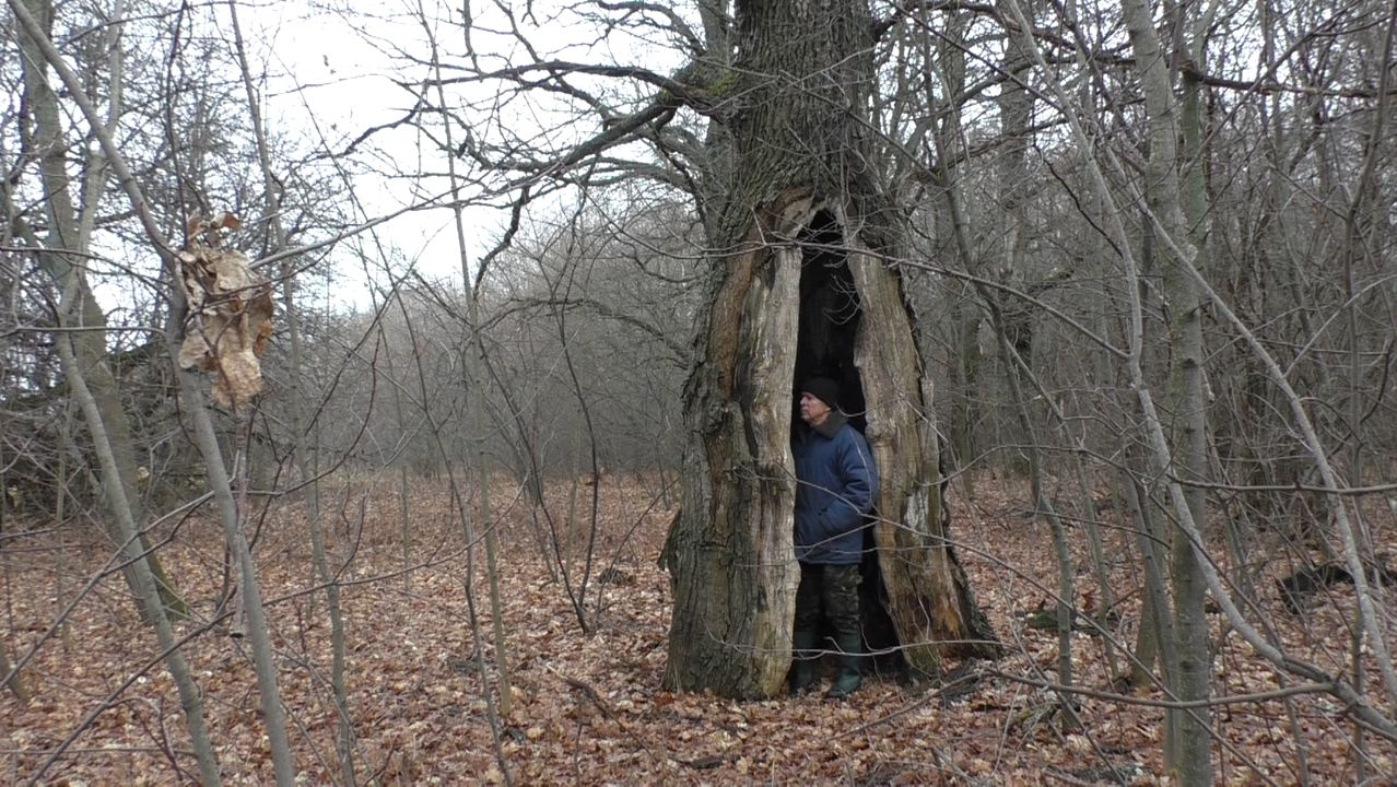 закрытие дачного сезона.2025г. смотреть онлайн