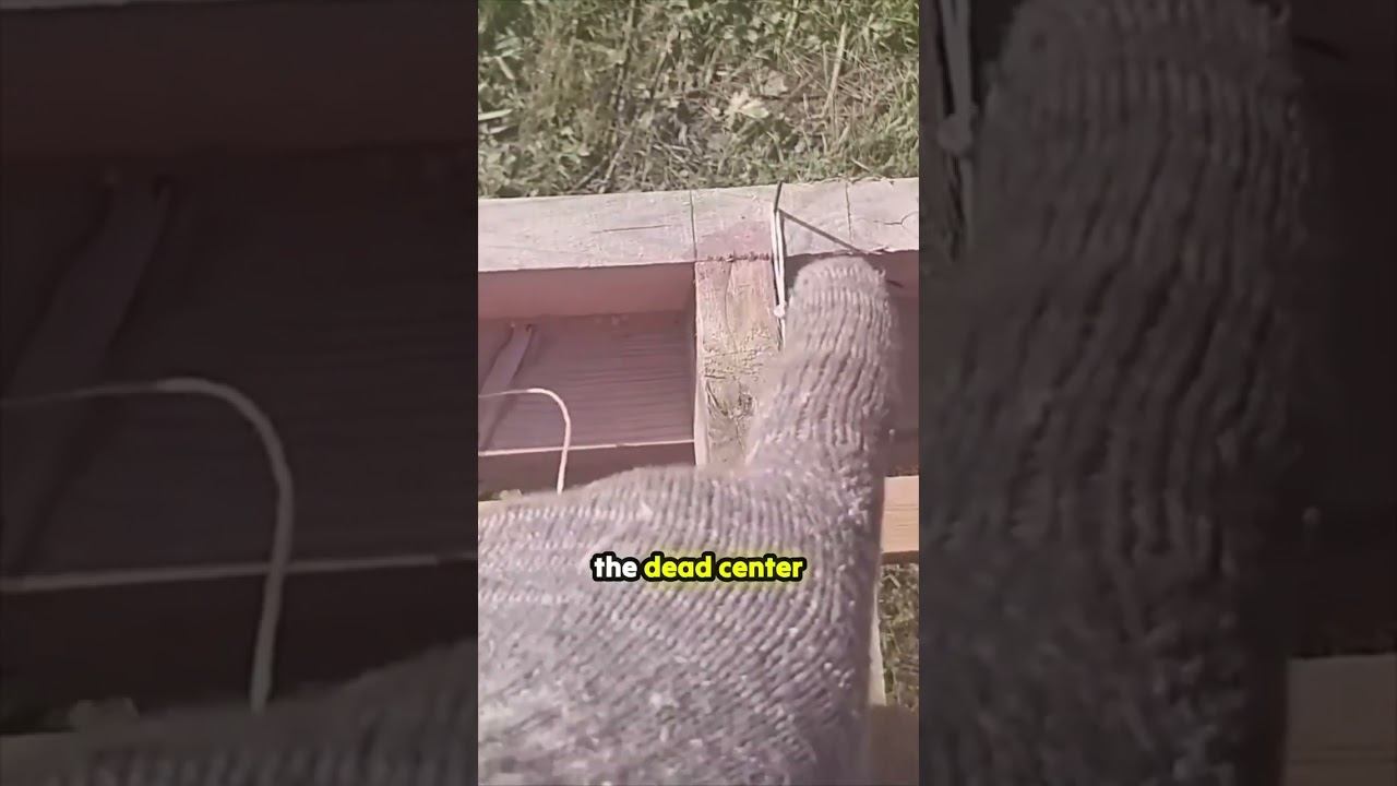 Transform Your DIY Game: Master Stud Placement for Safety! смотреть онлайн