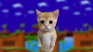 приключения катэ 1 серия