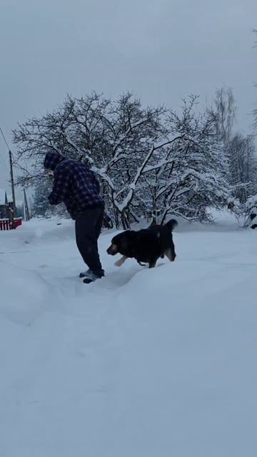 Жизнь прекрасна, ждём праздника 🎉готовимся к новому году 🎉 топим баньку 🤗🎉 #новыйгод #этонановы смотреть онлайн