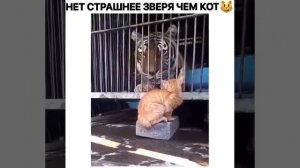 Хищник