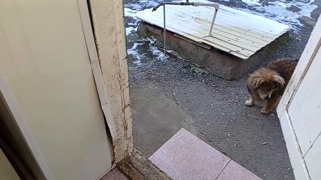 Последний влог 2025г смотреть онлайн