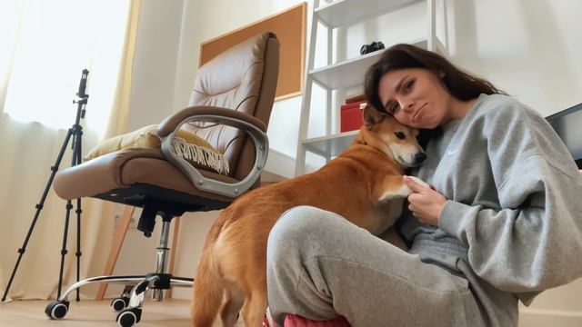 ПОКА Черногория! Мы переезжаем в... смотреть онлайн