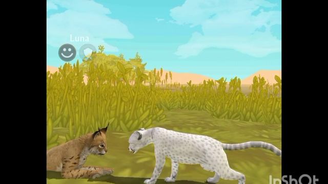 Мини фильм Wildcraft "Не такая как все" 5 серия смотреть онлайн