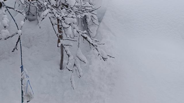 31 декабря нас в плен взял снег смотреть онлайн