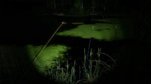 Новогодняя рыбалка под бой курантов