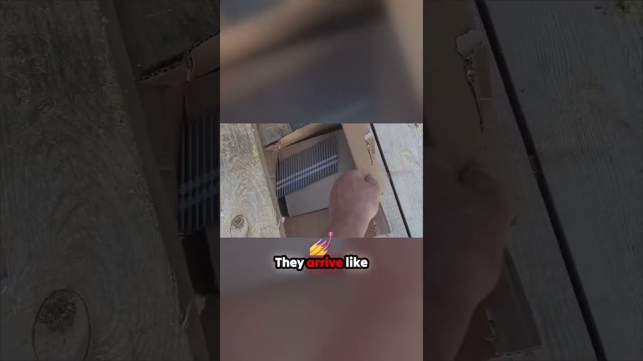 Uncover the Secrets Behind Construction Nail Deliveries! смотреть онлайн