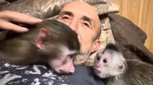 Анфиса с Финей папу ДОСТАЛИ, а потом помирились и даже поцеловались)