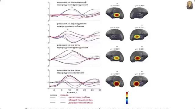 Станислав Дробышевский - невероятные способности нашего мозга смотреть онлайн