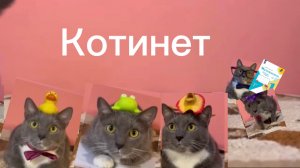 Котинет 1 сезон 3 серия новый год