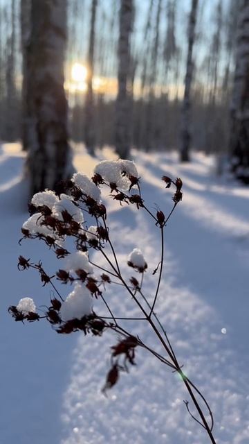 Утро Нового года смотреть онлайн