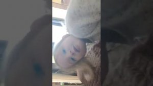 Аниме девушки